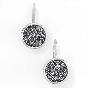 Touchstone Crystal Silver Black Earrings